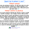 Presentazione plastica scuole superiori