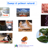 Presentazione plastica scuole superiori