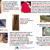 Presentazione plastica scuole superiori