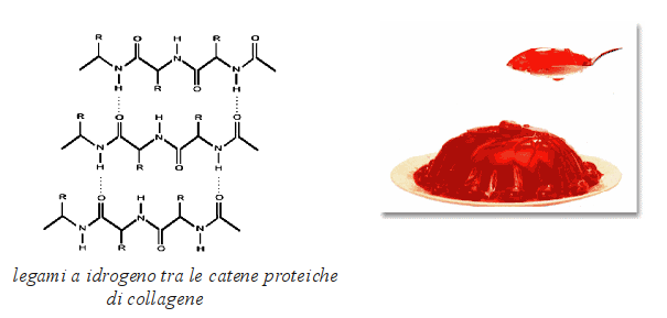 2010-2012 carboidrati 9